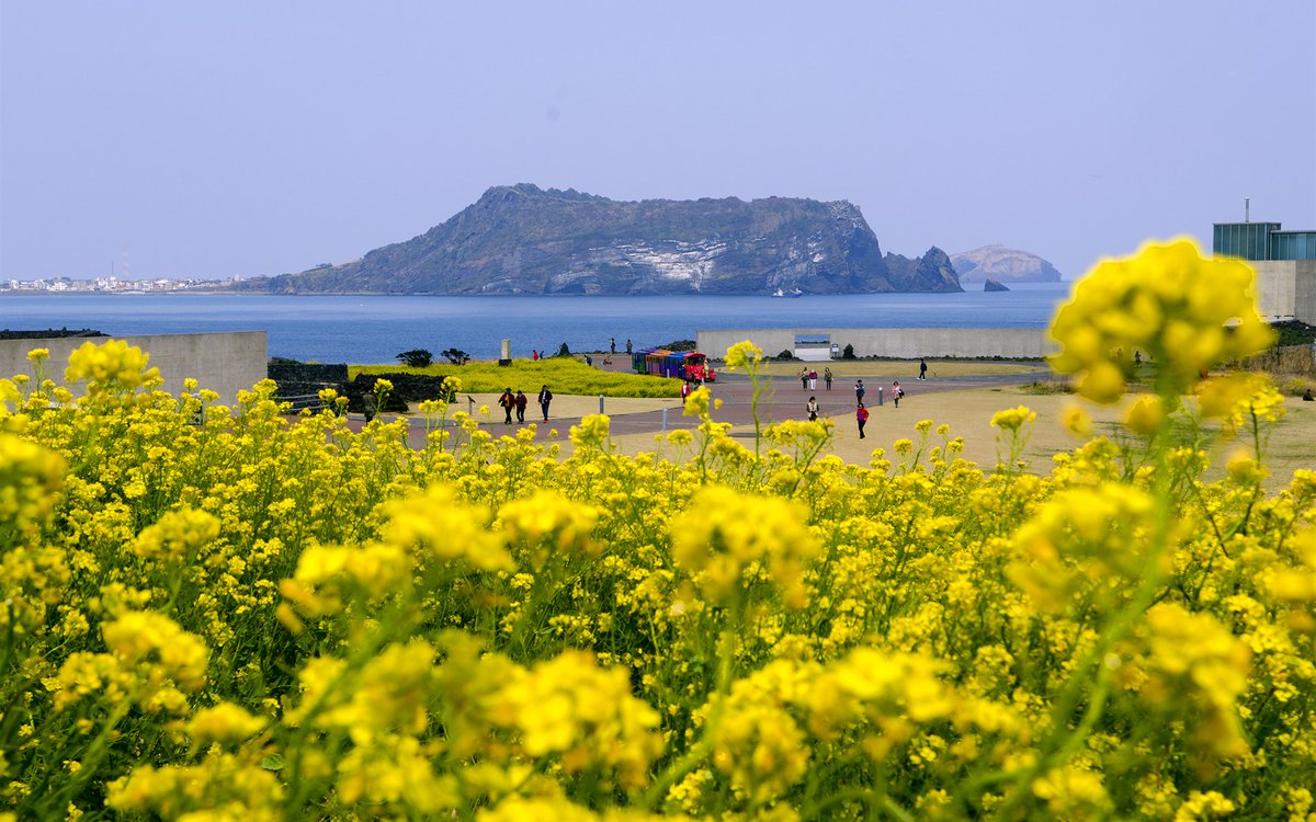 Tootot (@tootot419240) on Twitter photo 