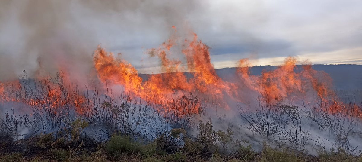 BaseBarco's tweet image. #Queima prescrita en Meixide, concello de A Veiga, para rexeneraciòn de pastos, con medios do #SPIF. @incendios085 #rxFire @AxentesGz