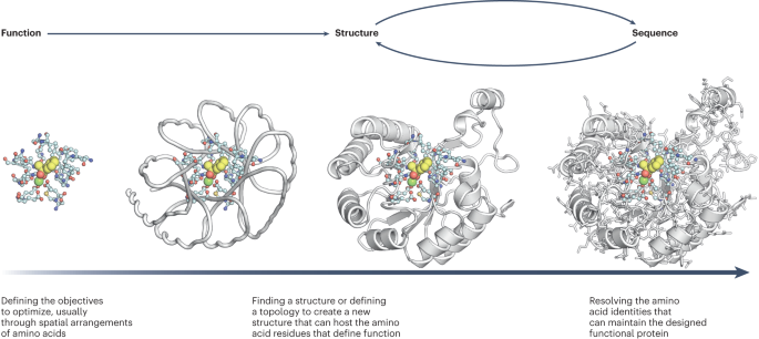 Sparks of function by de novo protein design go.nature.com/48jXz1z