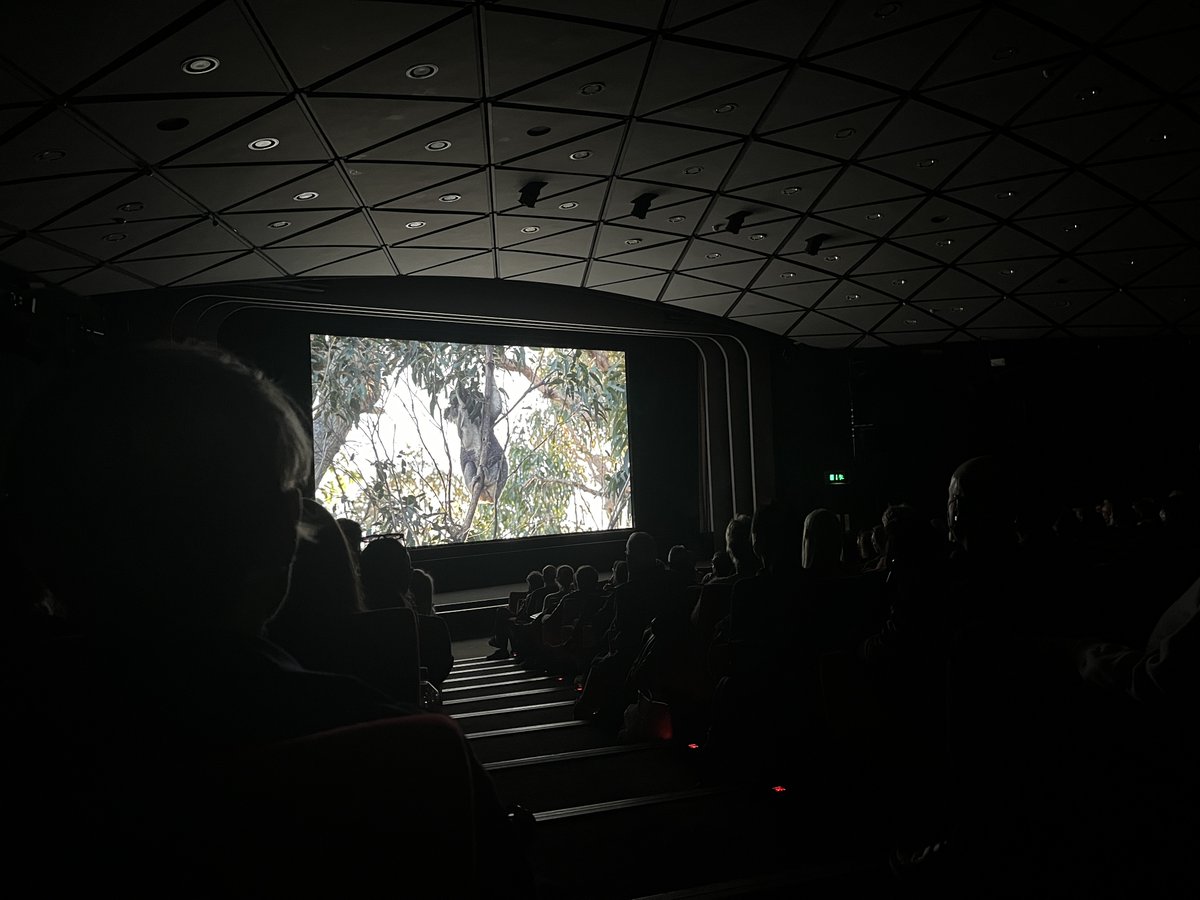 NFTSFilmTV's tweet image. #nftsgradshow2024 promises more unique storytelling &amp;amp; breakthrough talent on day 3 at @BFI Southbank!

Another epic day where industry friends join us to see the latest from #curation, #tventertainment, #marketing, #science &amp;amp; #commercials🌟

Supported by @bbcstudios