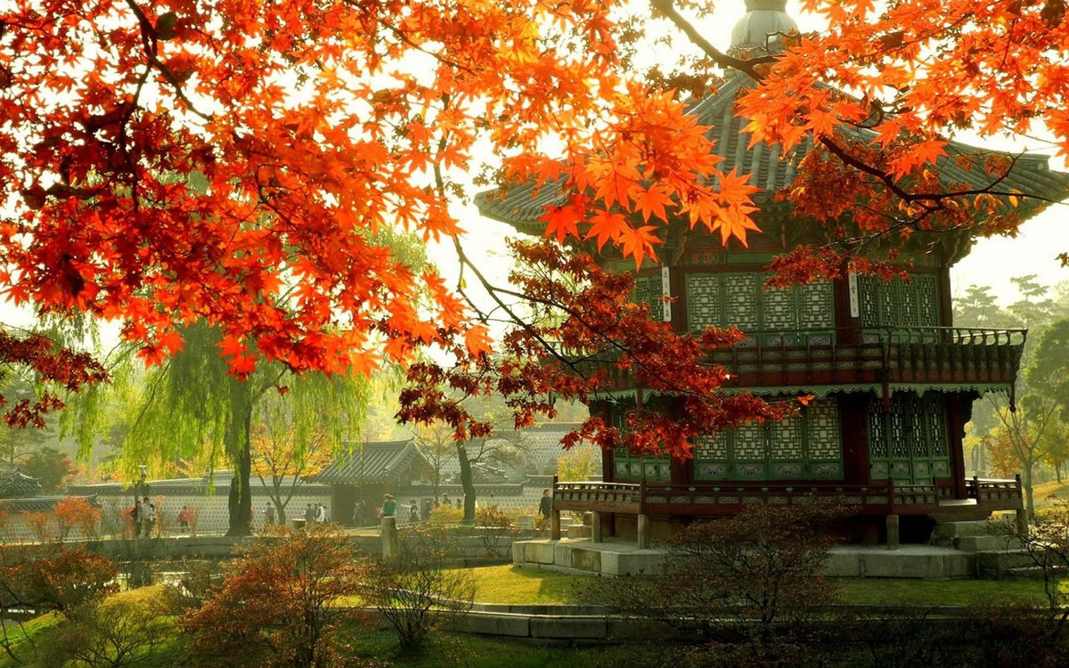 Ariel13 (@ariel1357757) on Twitter photo 