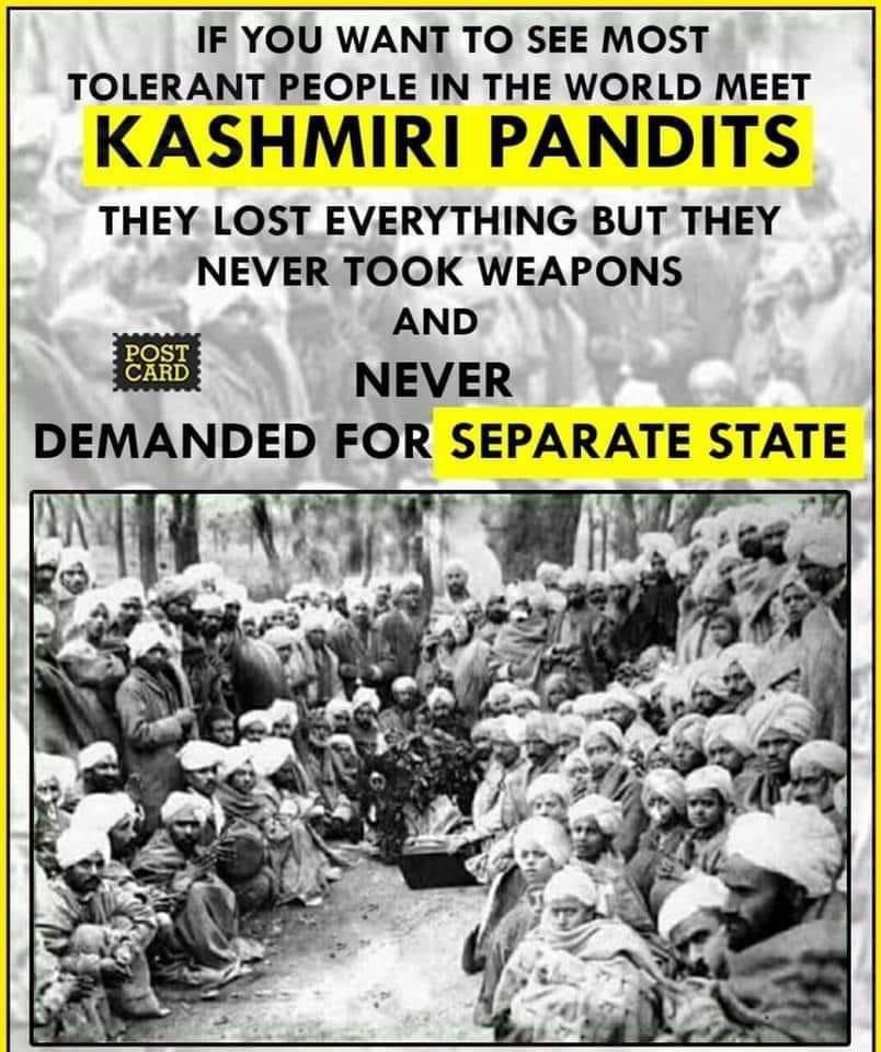 Very Much Proud Of Our #KashmiriPandits Brethren♥️. It has been 33 yrs of exile for 7 Lakhs population forced to live as refugees in our own Country. I hope you will return to Kashmir Valley soon.✨️ #KashmiriPandits #KashmiriHindus #BoycottArticle370Movie #ModiDisasterForIndia