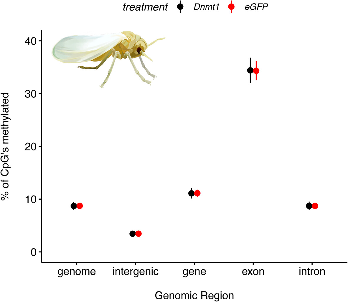 InsectMolecBio's tweet photo. New work in 'The Role of #Epigenetics in Insects in Changing Environments' Special Issue!

An association between Dnmt1 and Wnt in the production of oocytes in the whitefly #Bemisia tabaci: https://t.co/j3wEMJBsXj 
#OpenAccess #DNAmethylation #Gametogenesis #RNAi #RNAseq https://t.co/YcVgLfYctm