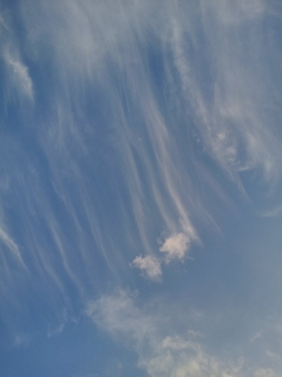 Creating wellness!
<a href="/yogapetz/">Yogapetz</a> 
#Well
$WELL