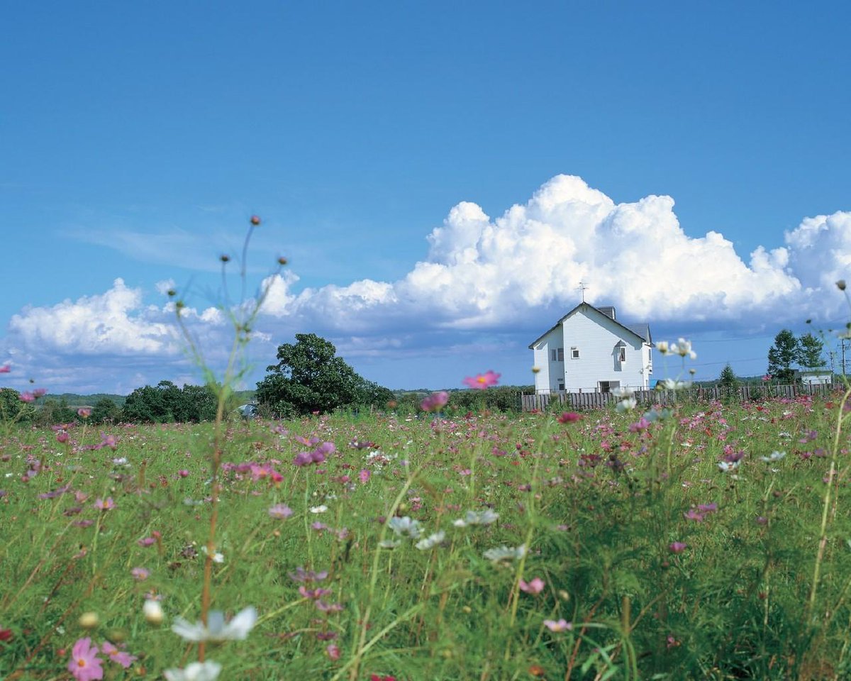 Thatad (@thatad496045) on Twitter photo 