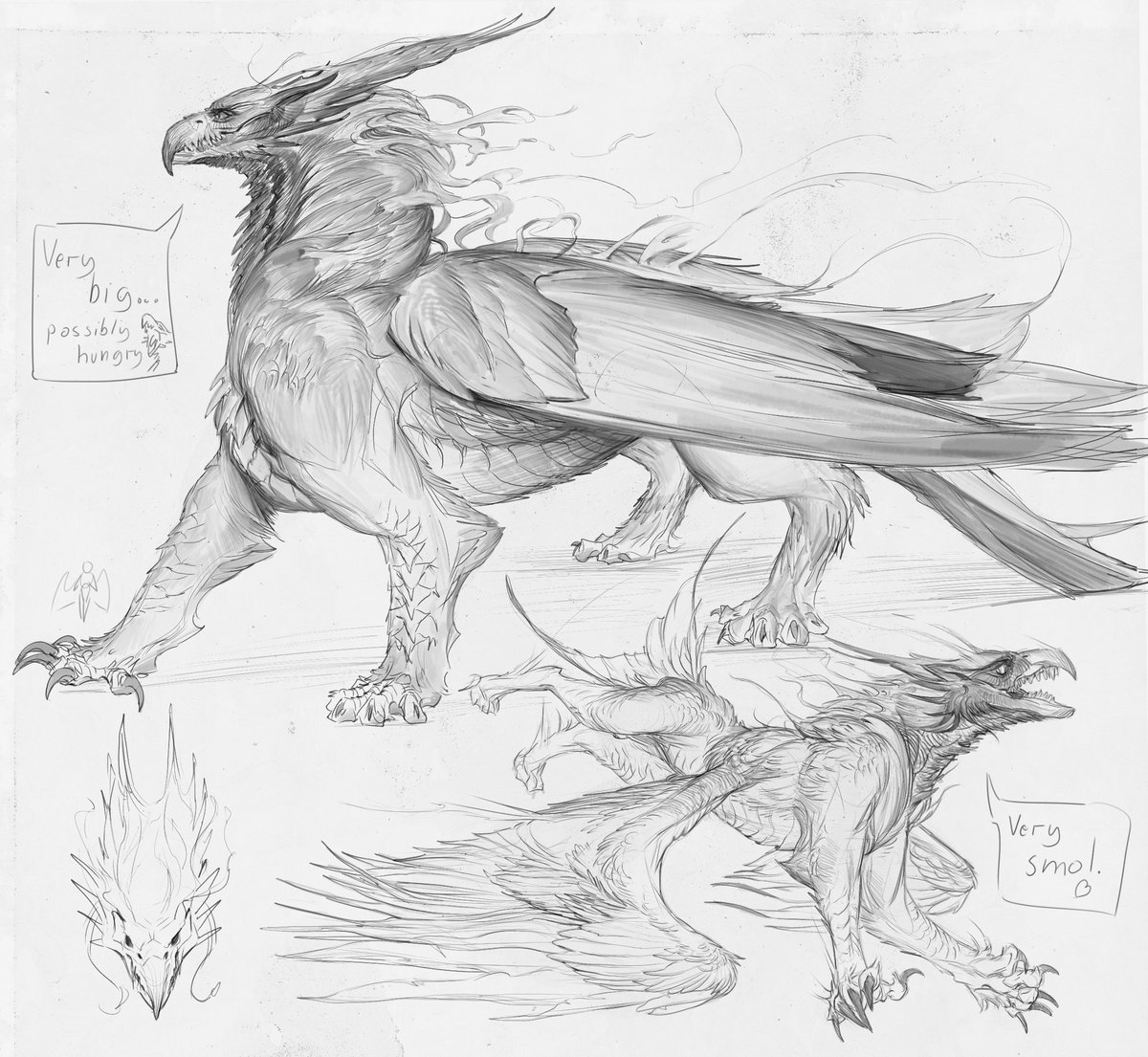 So I've been hard at studying art fundamentals for over a month now and since it's been doing wonders for my confidence I'll be unloading personal projects here, like this fire birb, herewego