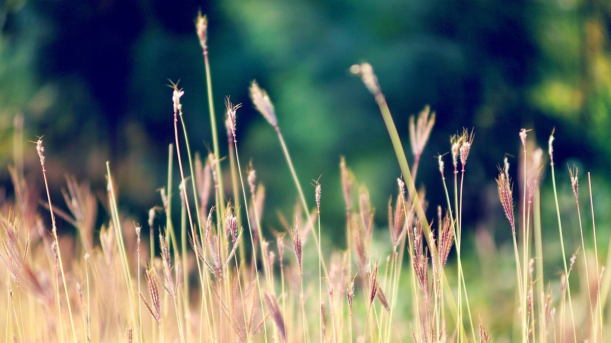 Slerree (@slerree9818) on Twitter photo 