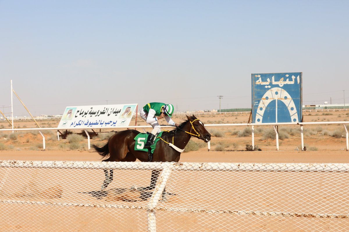 ميدان الفروسية بمحافظة رماح tweet media
