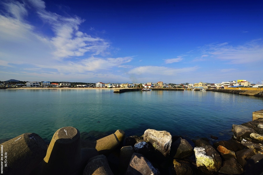 Shesosh (@shesosh117658) on Twitter photo 