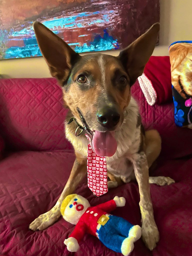 Mary @ Lieutenant Quigley #ZSHQ tweet media