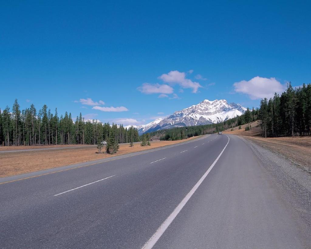 Shedduez (@shedduez87636) on Twitter photo 