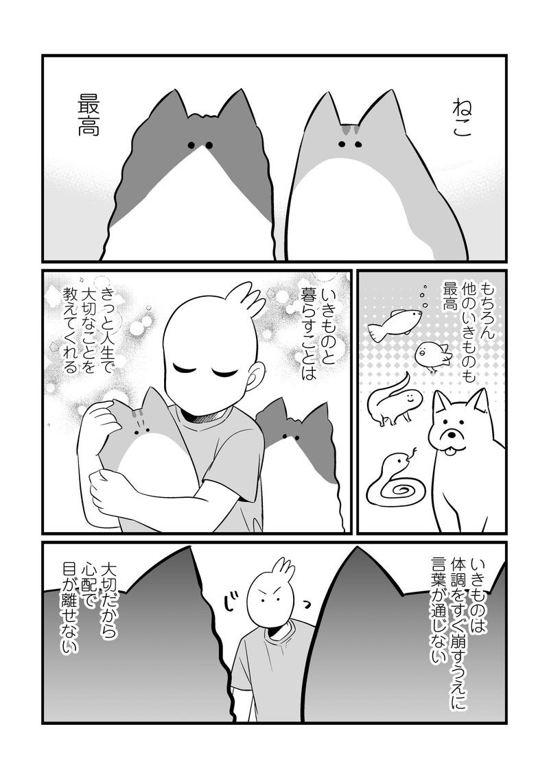 いきものと暮らすということ(再掲) #秀さんちのゆるねこ日記 #猫の日 