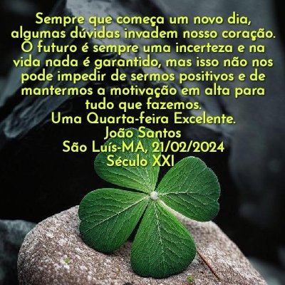 JOÃO SANTOS (@JooSant41642487) on Twitter photo 2024-02-21 14:40:14