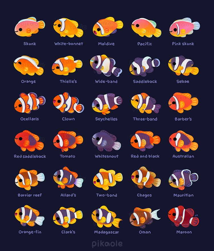 pikaole's tweet photo. Anemone fish https://t.co/I2lF4tiIlQ