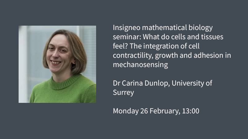 @MCB_Sheffield @katelynspillane @SheffUniEng @shefunihealth @ScienceShef Later on, our Computational Modelling in Medicine theme & @shefmathbio are hosting Dr @CarinaDunlop for our Insigneo Mathematical Biology Seminar on 'What do cells & tissues feel? The integration of cell contractility, growth & adhesion in mechanosensing' sheffield.ac.uk/insigneo/overv…