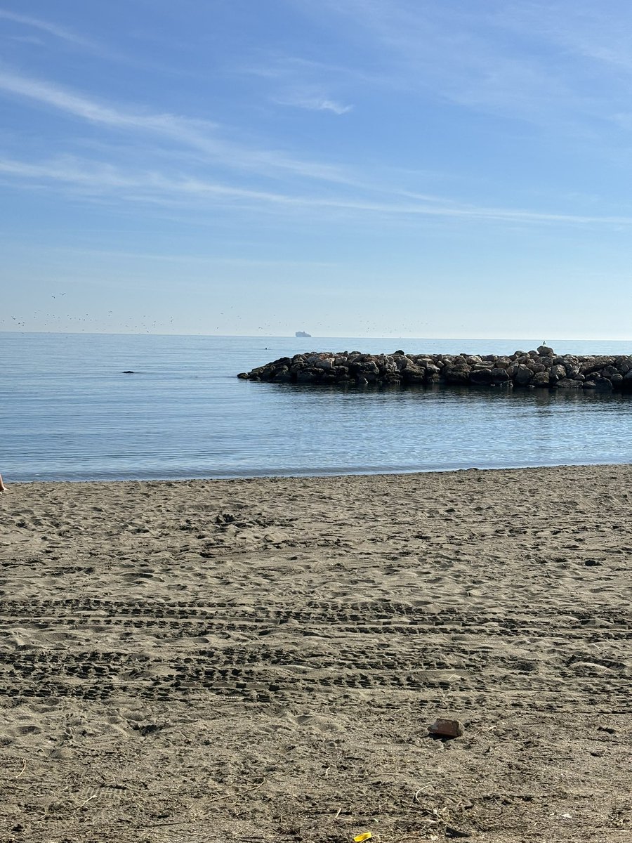 danithrones's tweet image. 21 de Febrero👨🏼‍🤝‍👨🏽💙