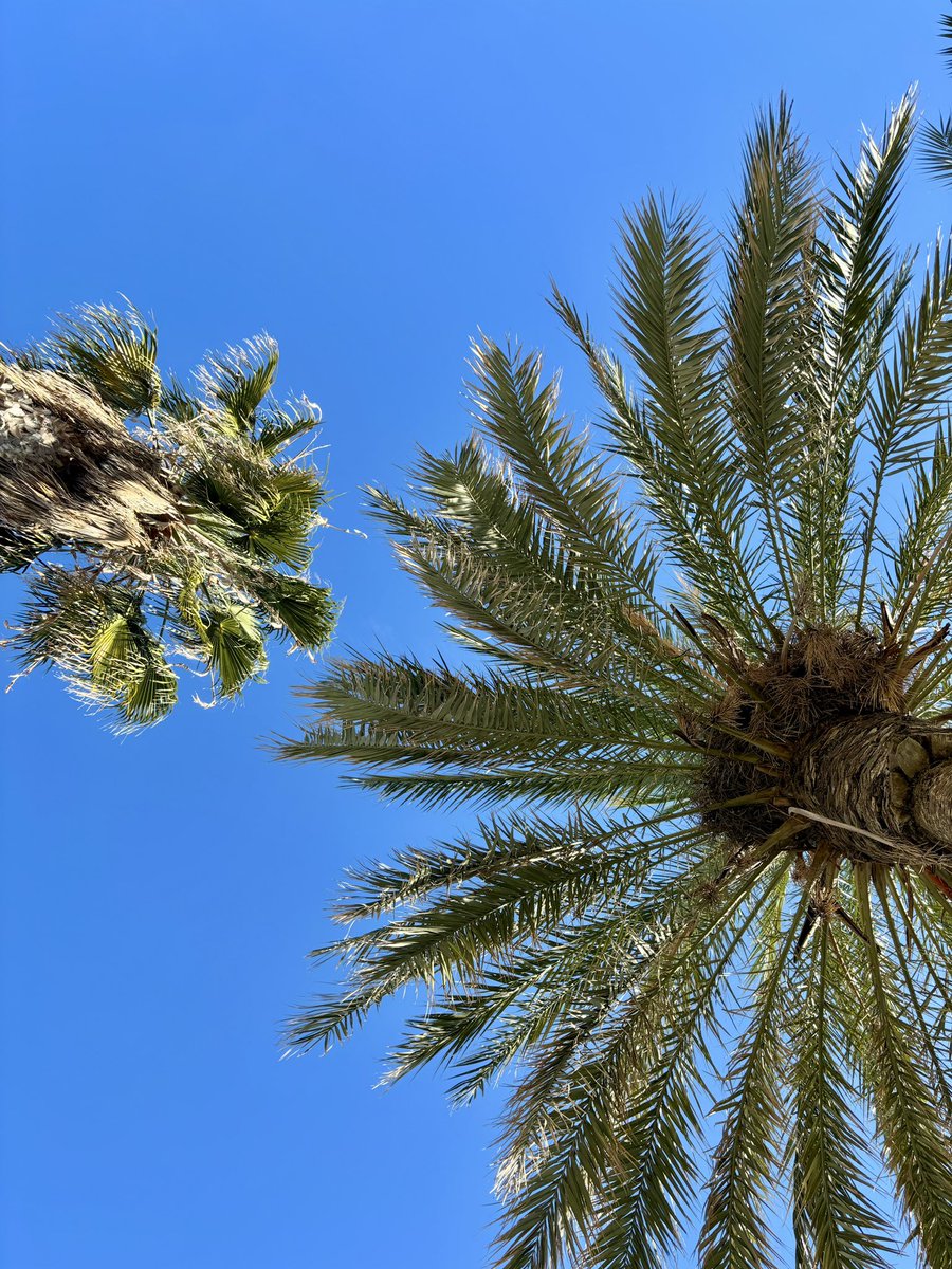 danithrones's tweet image. 21 de Febrero👨🏼‍🤝‍👨🏽💙