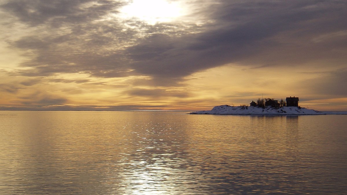 Apply for a 3-year #postdoc! An opportunity to work with us @Umea_Uni_marine for #sustainable development in the northern #Baltic through collaborative #research programme @MistraCo-Creating Better Blue. umu.se/en/work-with-u… #marinescience #umeauniversity #umeauniversitet