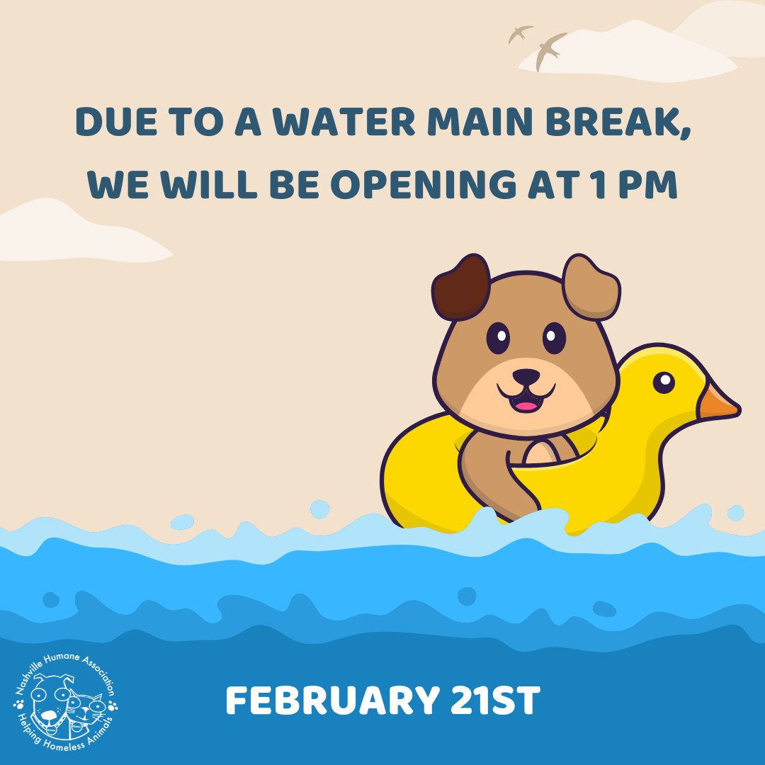 Due to a water main break, we will be opening at 1 PM❕ This is directly impacting fresh water for our animals to drink and water for our team to properly clean and sanitize our shelter. We apologize for any inconvenience this might cause.