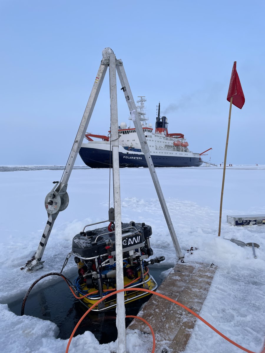 Marcel Nicolaus (@marcelnicolaus) on Twitter photo Join our team in sea ice physics and improve our knowledge on #Arctic #seaice.
We are recruiting a PhD student on 'sea ice energy budgets'. Pilot our under-ice ROV, analyze field data, and advance numerical modelling.
@awi_media <a href="/PolarBremen/">Polar Remote Sensing, University of Bremen</a>
jobs.awi.de/Vacancies/1587… Join our team in sea ice physics and improve our knowledge on #Arctic #seaice.
We are recruiting a PhD student on 'sea ice energy budgets'. Pilot our under-ice ROV, analyze field data, and advance numerical modelling.
@awi_media <a href="/PolarBremen/">Polar Remote Sensing, University of Bremen</a>
jobs.awi.de/Vacancies/1587…