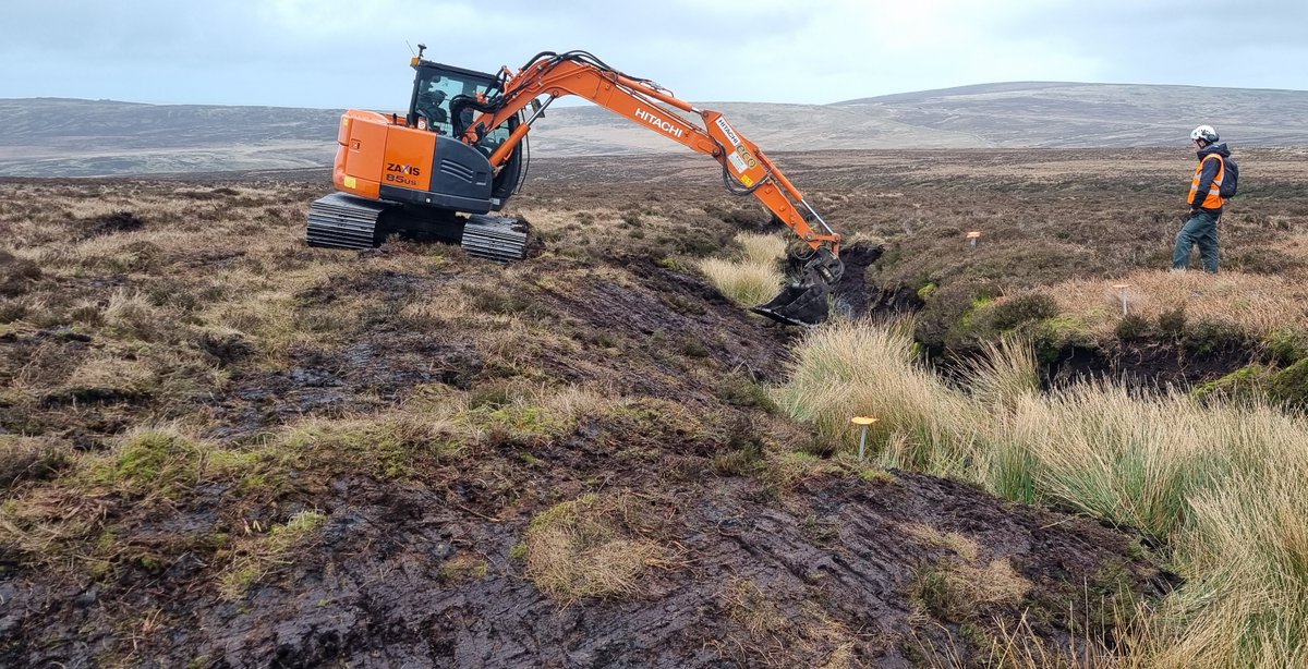 Conservefor Ltd tweet media