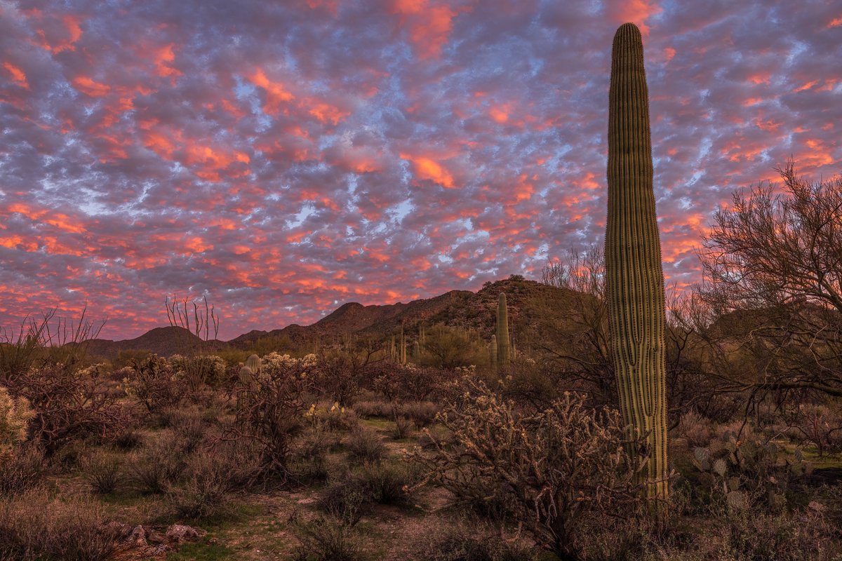 What a beautiful start to the day over the #Tucson #Arizona metro area... #azwx #sunrise <a href="/MallorySchnell/">Mallory Schnell</a>  <a href="/sheasorensonwx/">Shea Sorenson</a> <a href="/WaldrefWeather/">Stephanie Waldref</a> <a href="/whatsuptucson/">Whats Up Tucson</a> <a href="/NWSTucson/">NWS Tucson</a>
