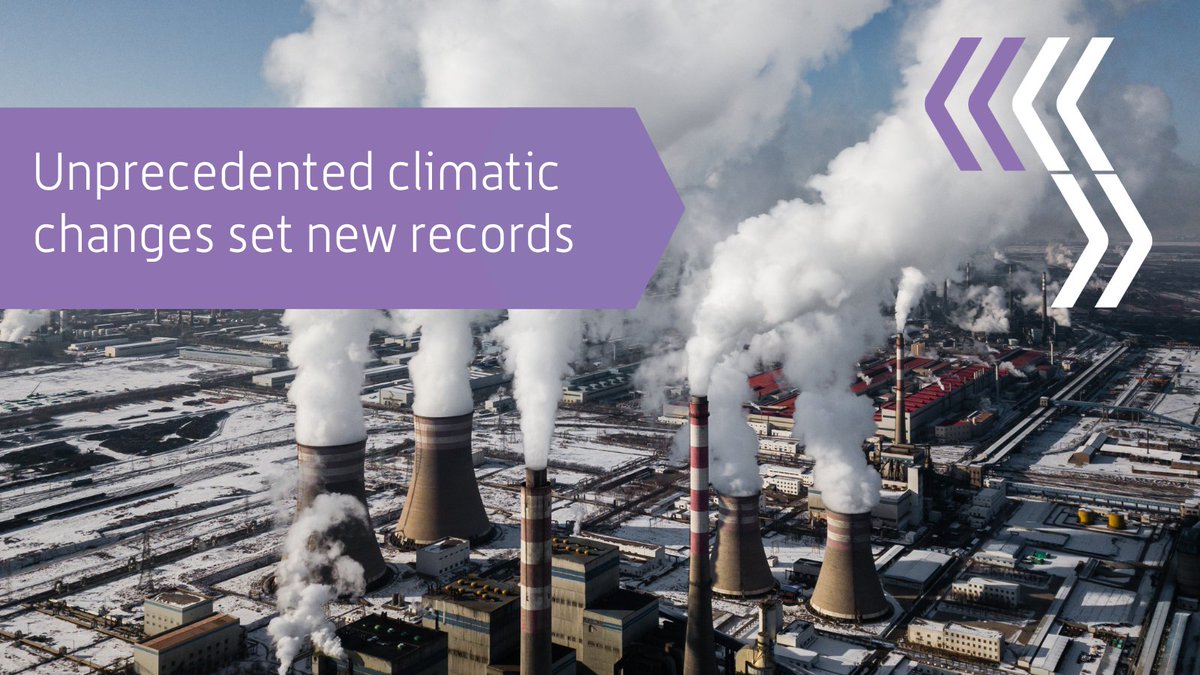 Synaptic tweet media