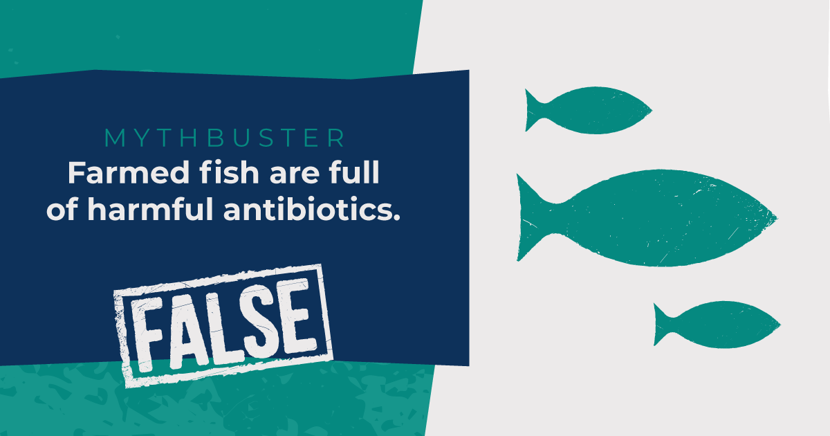 FarmersoftheSea's tweet photo. Let’s BUST this silly myth: Farmed Fish is full of harmful antibiotics❌
TRUTH: We use little to no antibiotics for our farmed seafood! Just like wild-caught fish, farmed fish don’t require antibiotics to be healthy.
#FarmersOfTheSea #PEI #PEIAquaculture #Aquaculture #Finfish https://t.co/bom0F1yHiz