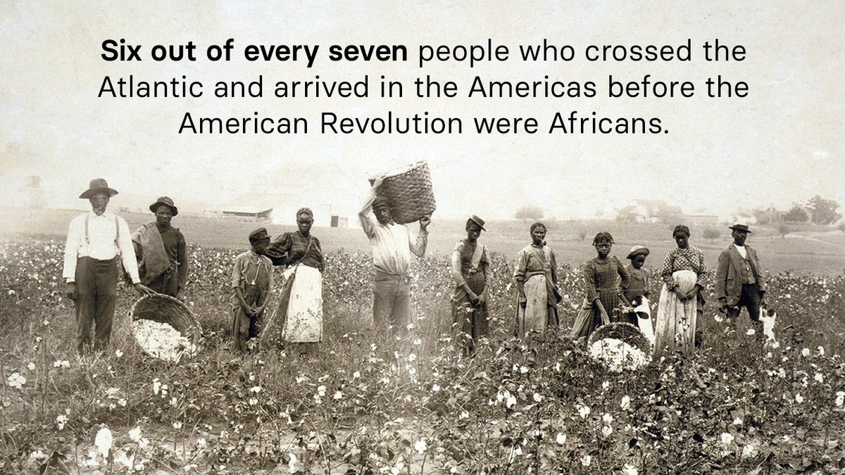 The scale of the transatlantic trade in humans is hard to overstate. Deepen your understanding with professor Leslie Alexander in her new course, African American History: From the African Coast to the Civil War. wondrium.com/african-americ…