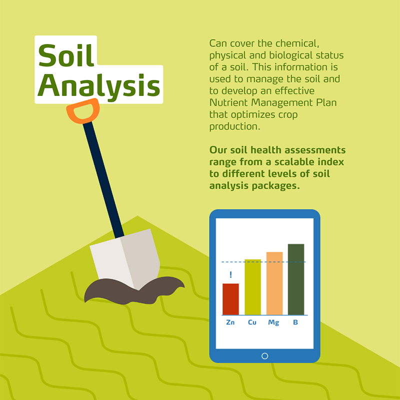YaraEurope's tweet photo. Sustainable nutrient management at Yara encompasses a comprehensive approach aimed at reducing #nutrientlosses while optimizing agricultural #productivity. ๐ฑ
Discover how Yara is driving advancements in agriculture through innovative solutions to make #EveryNutrientCount! ๐