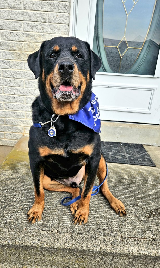 Adrienne & Rugie tweet media