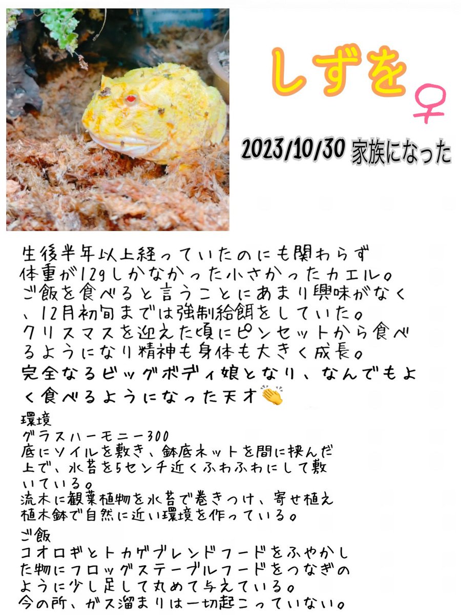 😎三杯酢😎 tweet media