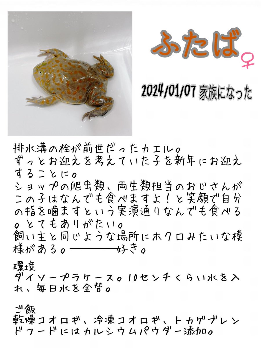 😎三杯酢😎 tweet media