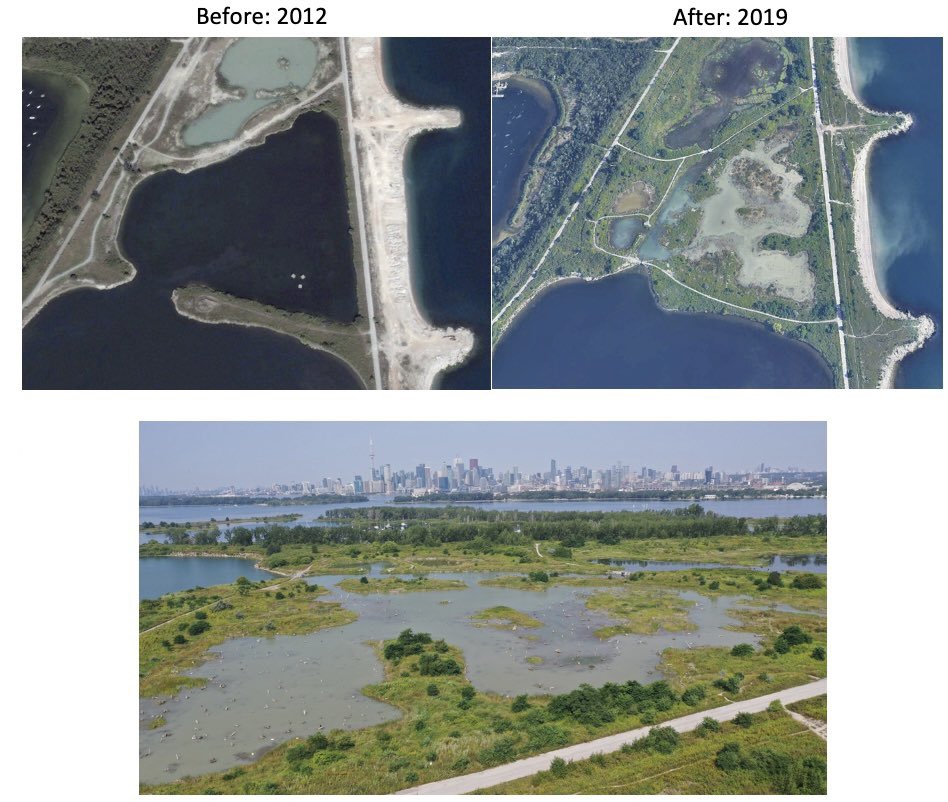 🤝Creating effective partnerships E.g. @morganpiczak et al. share the experiences of Aquatic Habitat Toronto – a partnership bringing together those that engage in restoration ecology and practice along the Toronto Waterfront #Codesign [🧵3/7] besjournals.onlinelibrary.wiley.com/doi/10.1002/26…