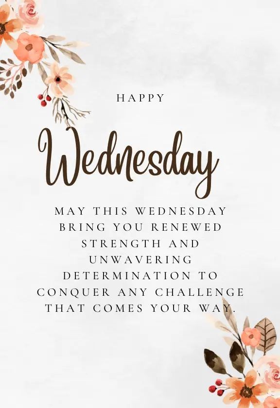 #HappyWednesday 
👏🏼👏🏼👏🏼