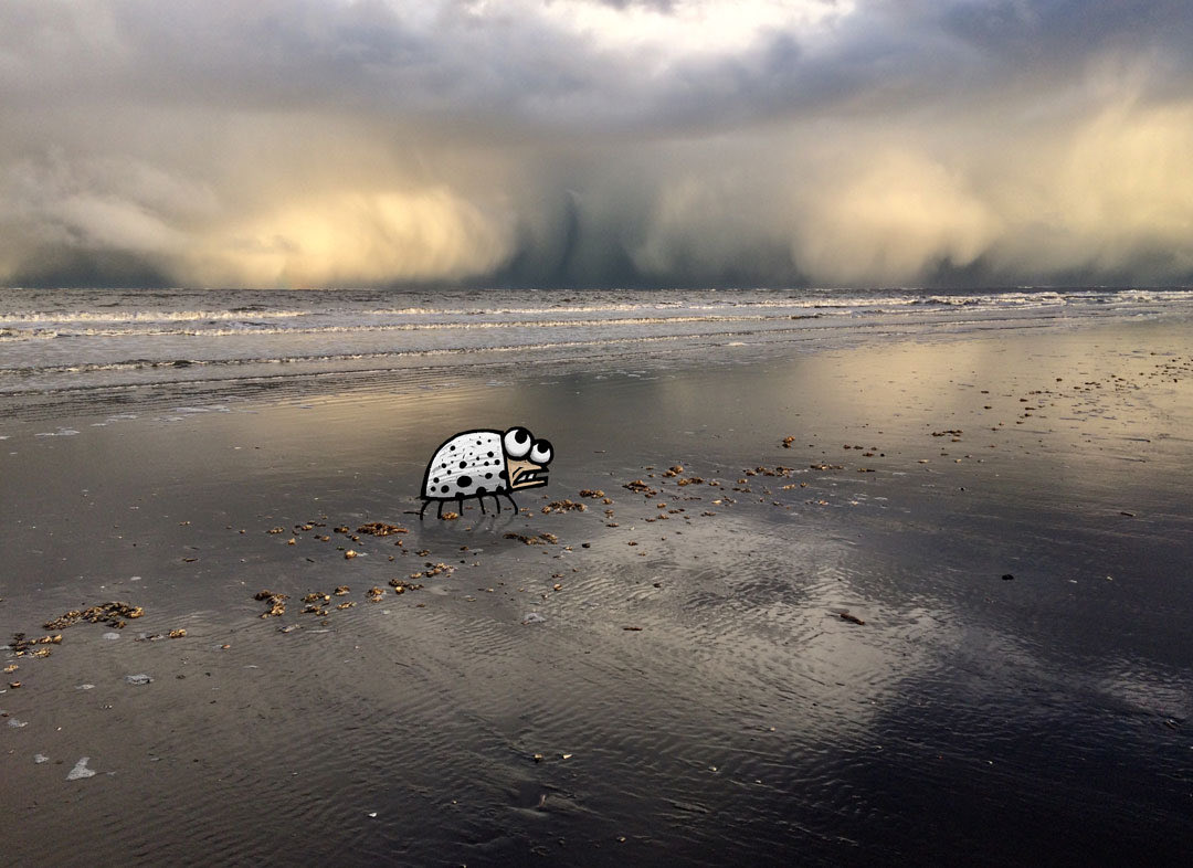snoepkever's tweet photo. ❄️🐞❄️
#candybeetle #schiermonnikoog https://t.co/f081w5N3KI