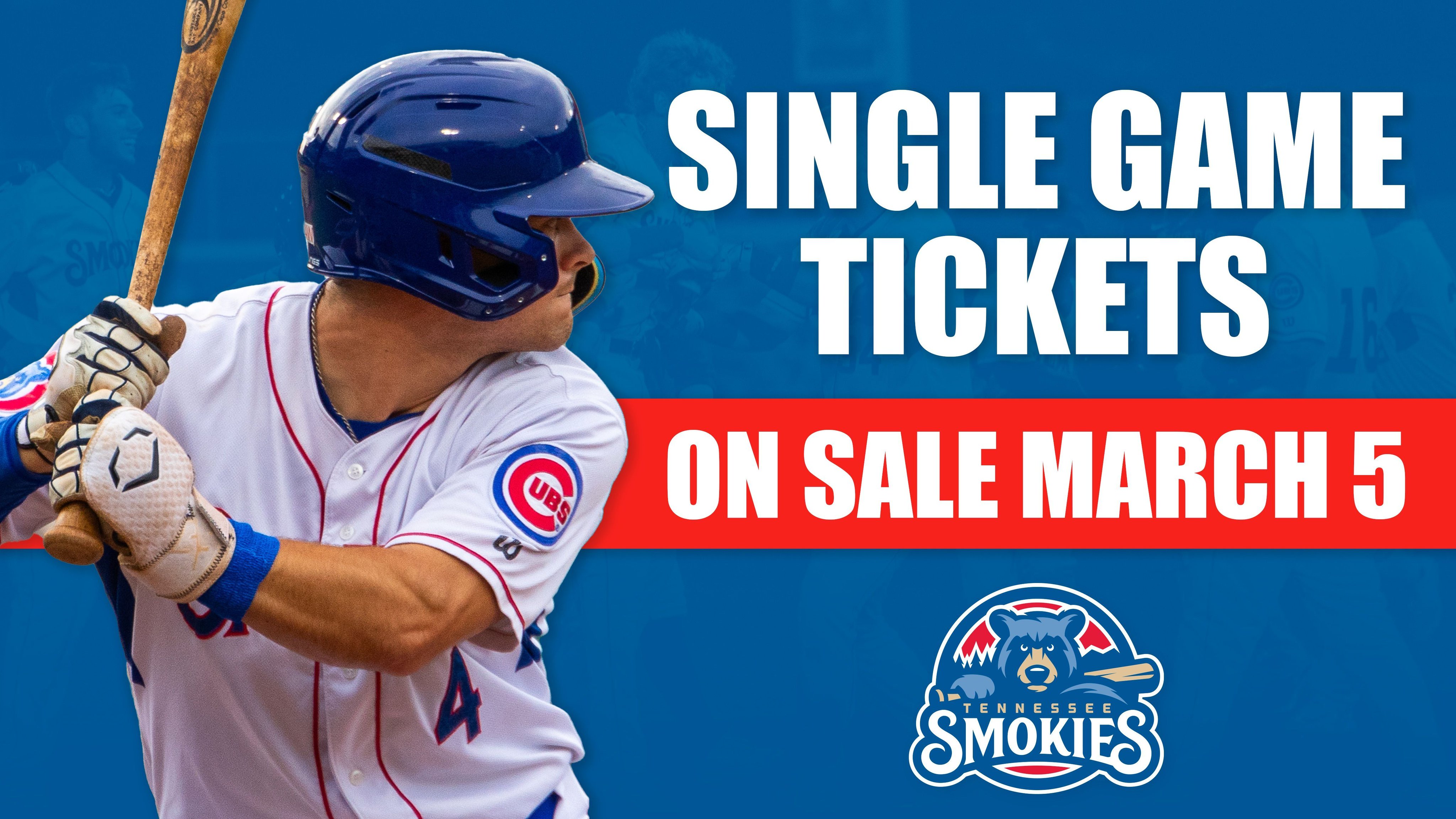 Smokies Baseball Tickets 2024 janka magdalene