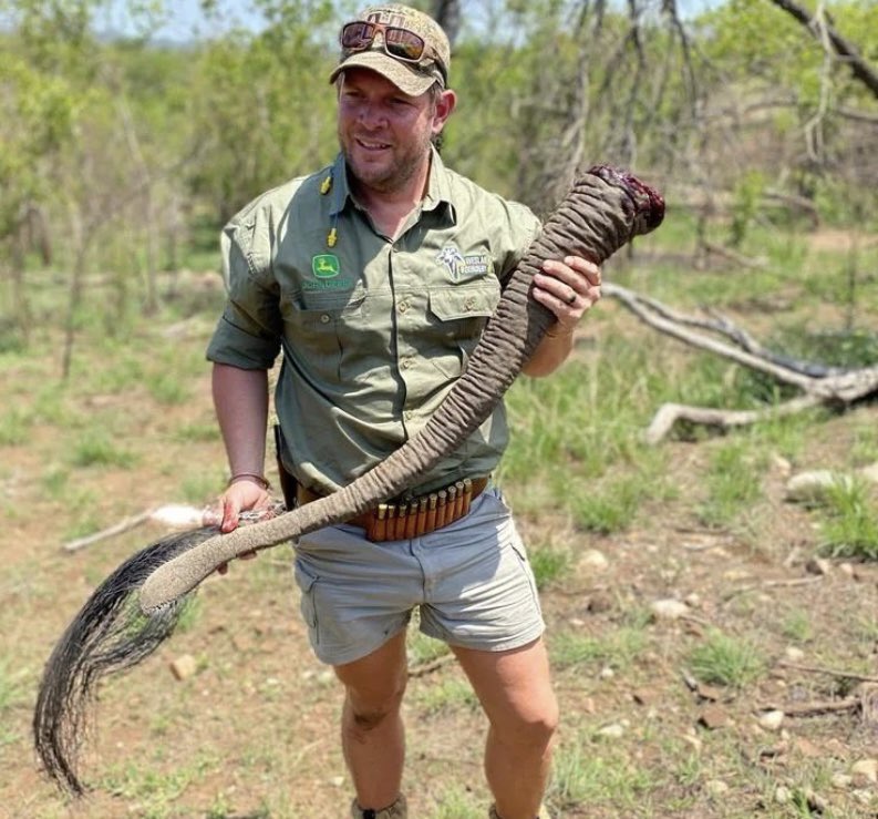 XposeTrophyHunt's tweet image. W J Labuschagne hunted this elephant adjacent to Kruger National Park, courtesy of Derian Koekemoer Safaris. In a final betrayal he cut off the tail. Heartless idiot. 🤬RT
#BanTrophyHunting 
@_Pehicc @SARA2001NOOR @Angelux1111 @Gail7175 @DidiFrench @Lin11W @PeterEgan6