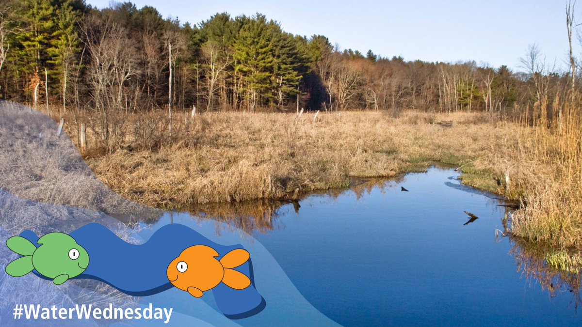 What do you get when you combine wetlands, bugs and a love for water? Passionate people learning about #Wetlands. At #PCWF, we encourage you to love your wetlands every day by watching this #WildAboutWetlands video: youtu.be/SH9SonHrM_w?si…