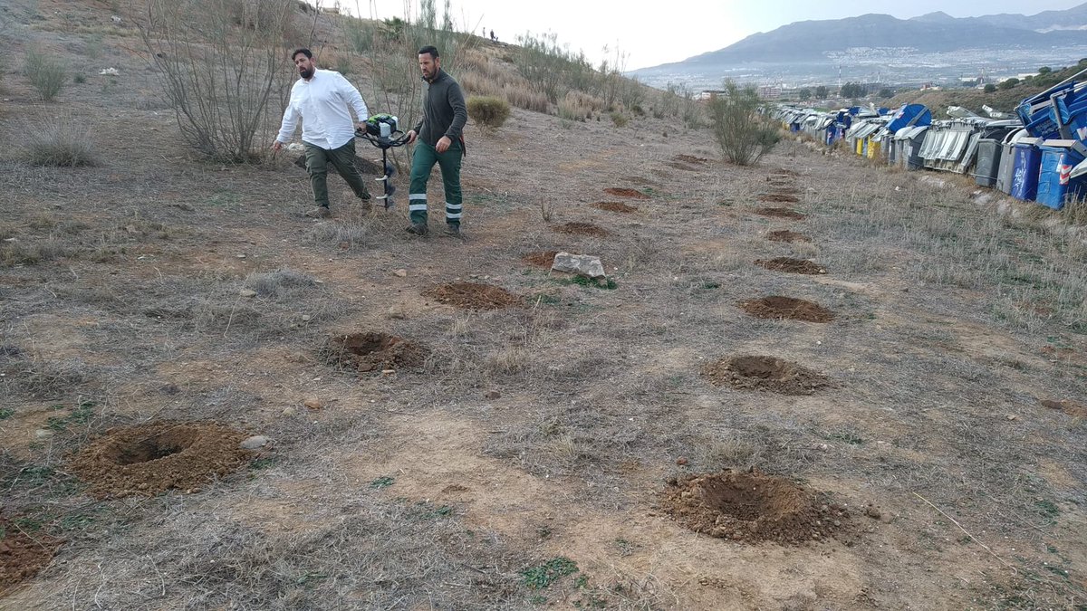 secardiologia's tweet photo. Orgullosos de anunciaros que la Asociación de Monitores Medioambientales Almijara ha realizado la plantación de árboles para compensar parte del impacto medioambiental de #SEC23.

🌳 534 árboles ayudarán a reforestar el antiguo vertedero de los Asperones en Málaga #SECFECVerde https://t.co/bVYFipRHnl