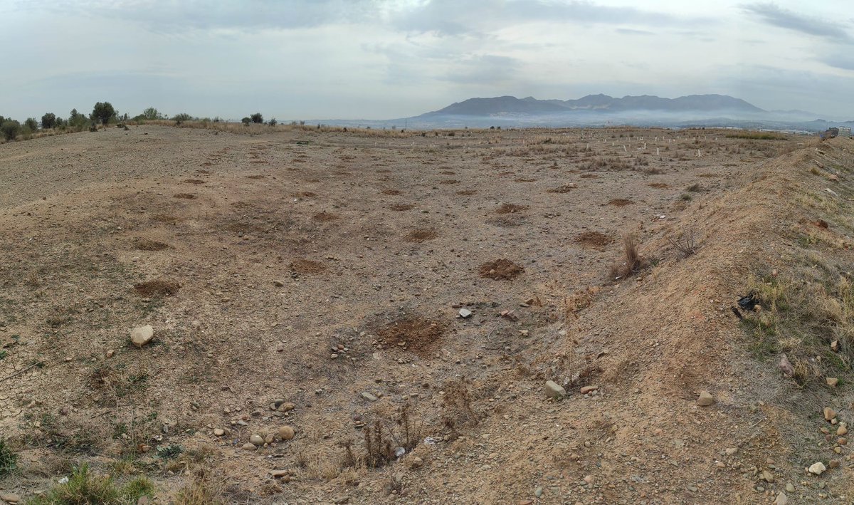 secardiologia's tweet photo. Orgullosos de anunciaros que la Asociación de Monitores Medioambientales Almijara ha realizado la plantación de árboles para compensar parte del impacto medioambiental de #SEC23.

🌳 534 árboles ayudarán a reforestar el antiguo vertedero de los Asperones en Málaga #SECFECVerde https://t.co/bVYFipRHnl