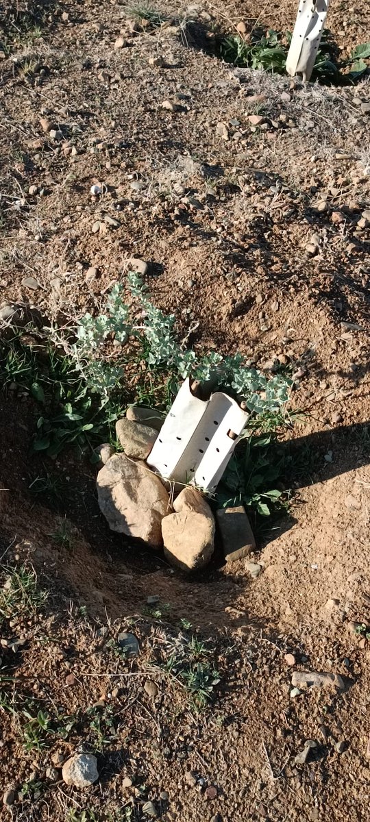 secardiologia's tweet photo. Orgullosos de anunciaros que la Asociación de Monitores Medioambientales Almijara ha realizado la plantación de árboles para compensar parte del impacto medioambiental de #SEC23.

🌳 534 árboles ayudarán a reforestar el antiguo vertedero de los Asperones en Málaga #SECFECVerde https://t.co/bVYFipRHnl
