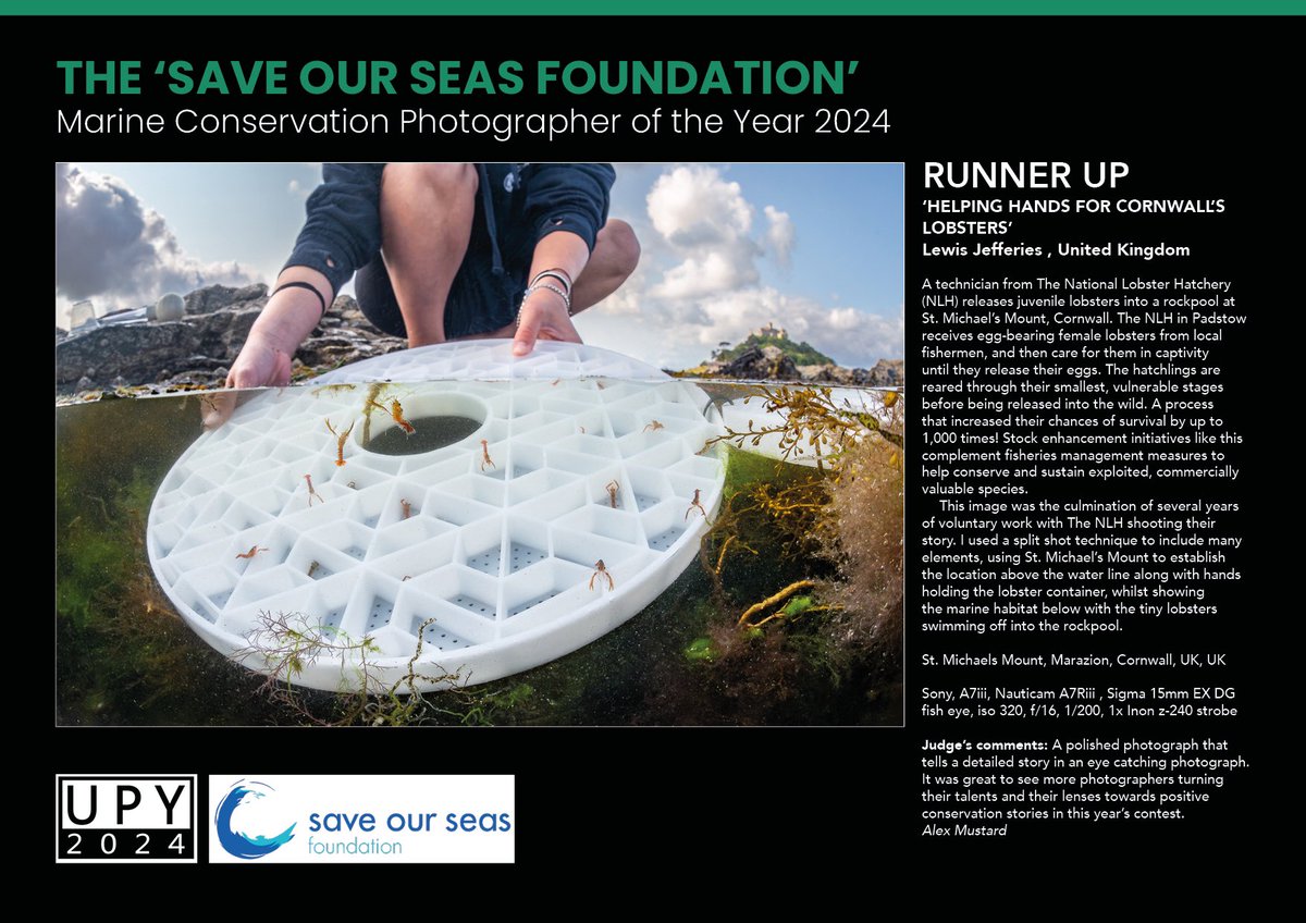 Lewis Michael Jefferies tweet media