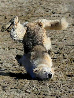 MikeLukas4's tweet photo. When a joke flops…It hurts.
Figuring out why a joke didn't work and trying again is what makes you funnier.
Time to get serious about your comedy.
Click for your copies: https://t.co/GaNw1J8fD7
#standupcomedian #comedy #humor #laugh #humor #laughter #writing #audio #humorwriting https://t.co/iJDmU12PSp
