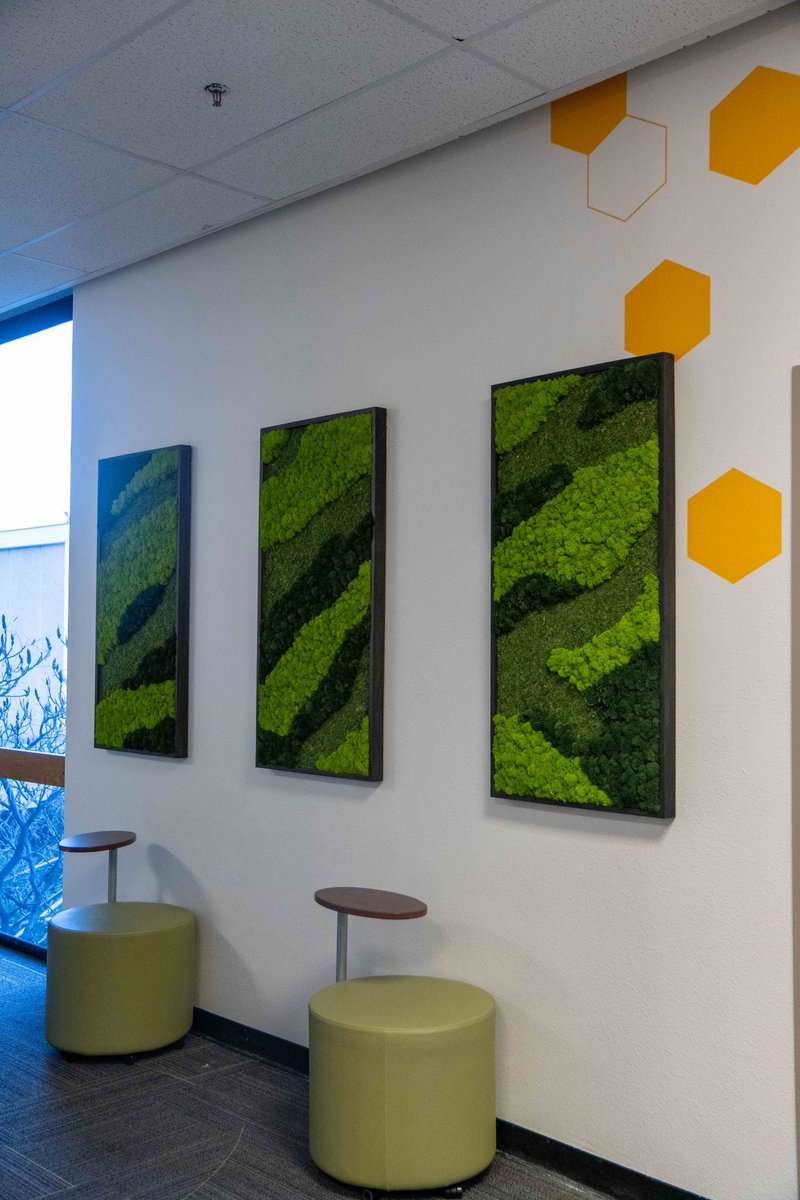 HealthHumanSci's tweet photo. Dedicated to Kelly "Sugar Bee" Walker, @csuhes Rams can now be found in the Student Hive 💚🐝💛

We celebrated the opening of the space in honor of the 
3⃣-time alumna who inspired collective fundraising for scholarships and multiple sclerosis research 🔗 https://t.co/st3Zm0EPcN https://t.co/ShQwUPTcmM