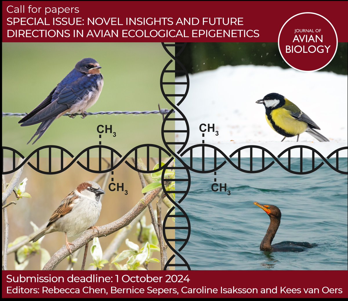 📢 CALL FOR PAPERS 📢

Special issue: Novel insights and future directions in avian ecological epigenetics

More info: vist.ly/35u9p

Guest editors: <a href="/BerniceSepers/">Bernice Sepers</a> <a href="/rebeccas_chen/">Rebecca Chen</a> <a href="/KvanOers/">Kees van Oers</a> <a href="/CarolineIsak/">Caroline Isaksson</a>

Submission deadline: 1 October 2024

#ornithology #epigenetics