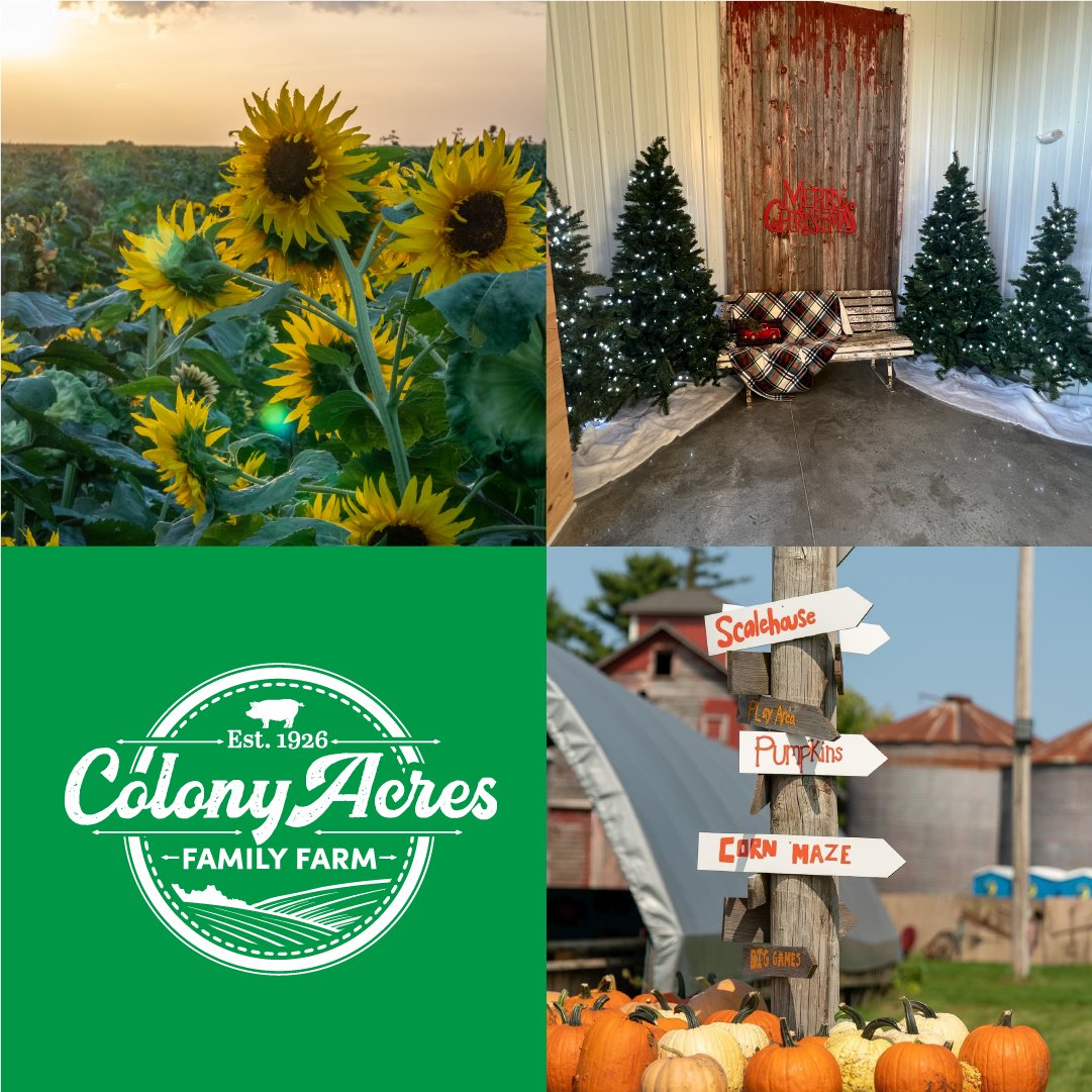 As we look forward to a year of endless fun, we want to know: what is your favorite season? Here at Colony Acres, we have three exciting seasons: 🌻 Sunflowers 🎃 Fall Harvest 🎄 Christmas We can’t wait to share many farm memories with you. Comment your favorite season below!