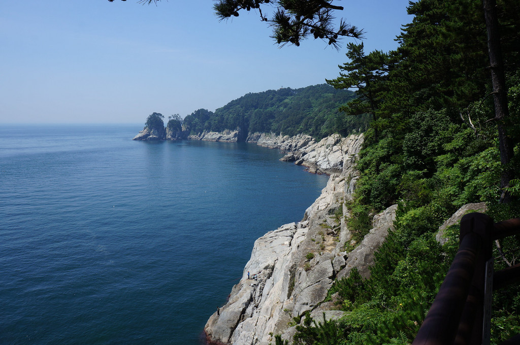 Seashet (@seashet45488) on Twitter photo 