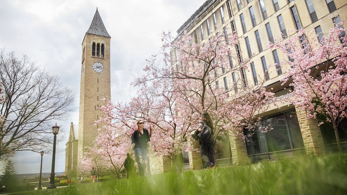 The @CornellCCSS awards fellowships to 11 #Cornell faculty representing @CornellCAS, @CornellCIS, @CornellBPP, @CornellMBA, @cornellilr, @CornellCHE, and @CornellLaw: news.cornell.edu/stories/2024/0…