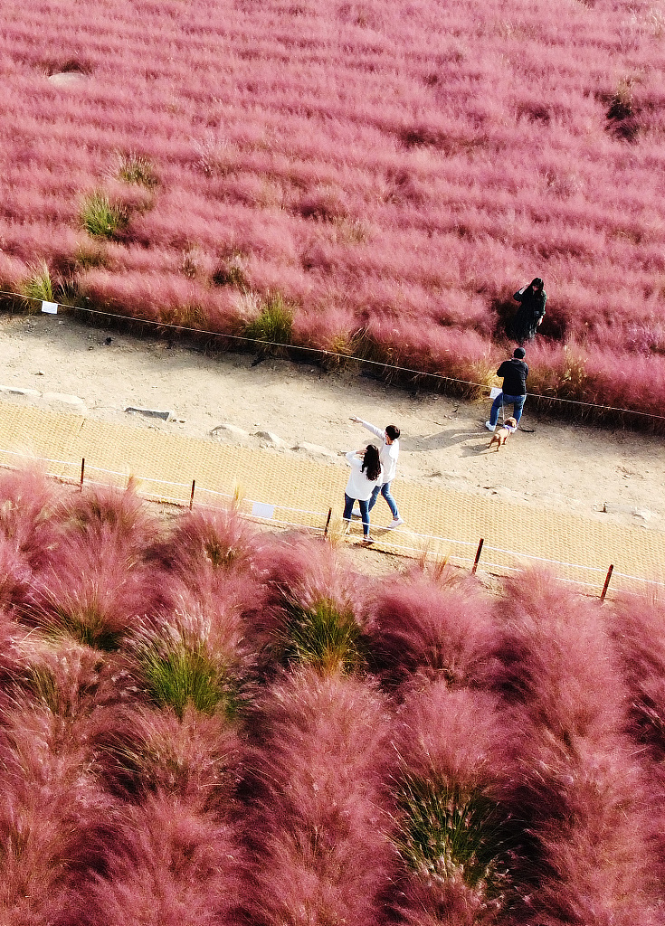 Smayppo (@smayppo42165) on Twitter photo 